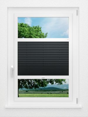 Preview LYSEL HOME Plissé 116A Pinus BO 0