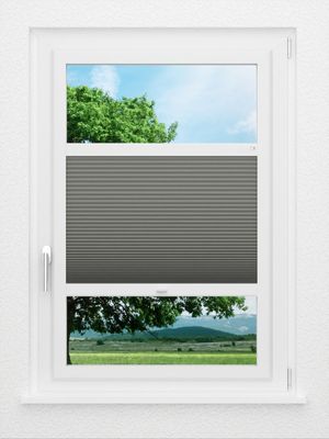 Preview LYSEL HOME Dubbele Plissé 002A Nana BO 0