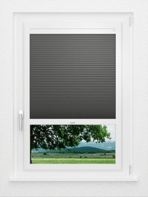 Preview LYSEL HOME Plissee 037A Alba LI Wabe 1