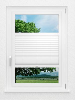 Preview LYSEL HOME Plissé 103B Aralia BO 1