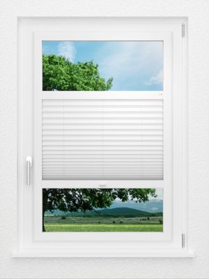 Preview LYSEL HOME Plissee 209B Aralia Pearl 0