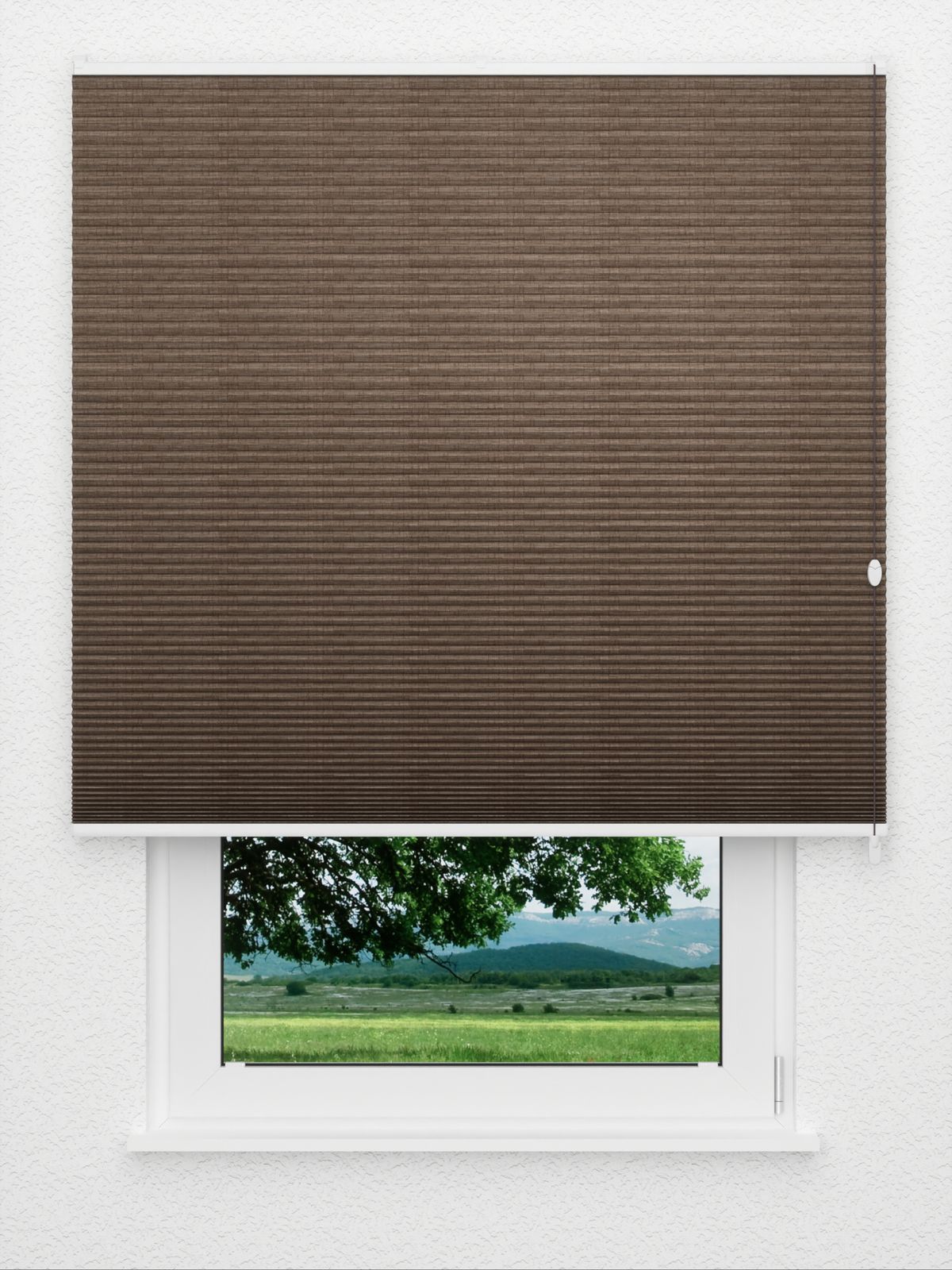 Detailansicht Coarse Comb LI 7307.7008