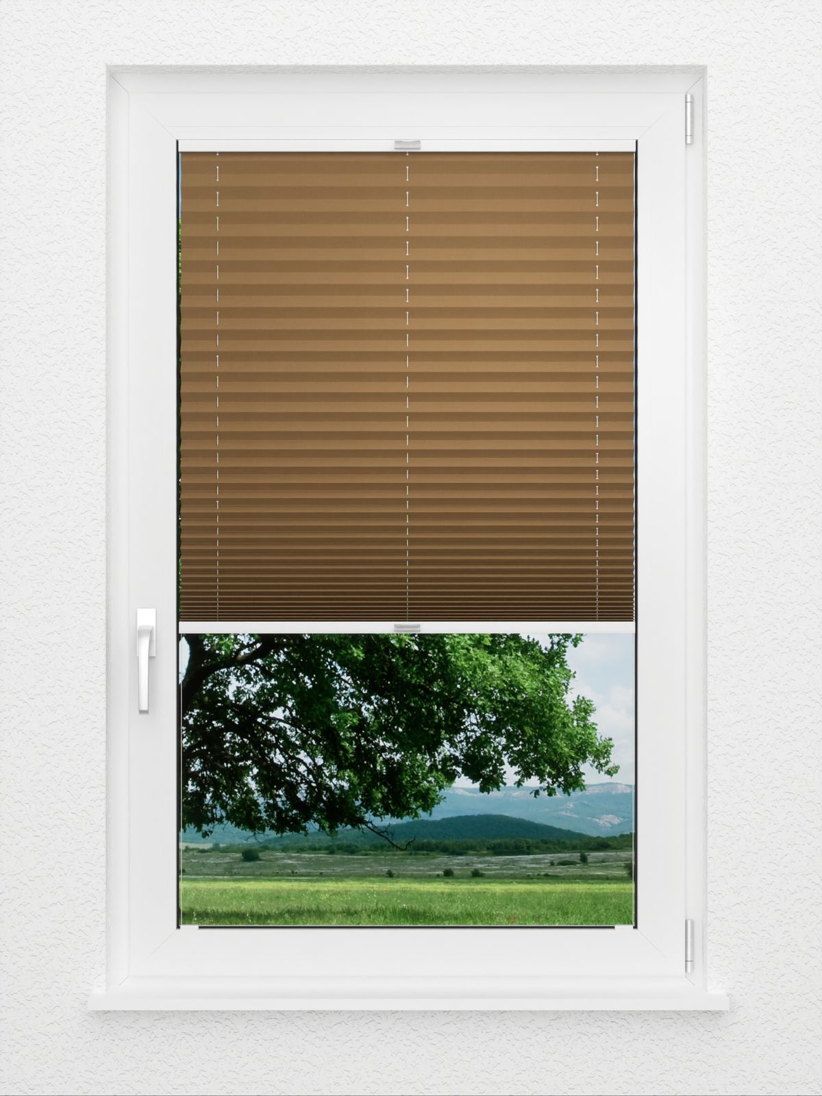 Detailansicht Plissé Kantate 4270.5010