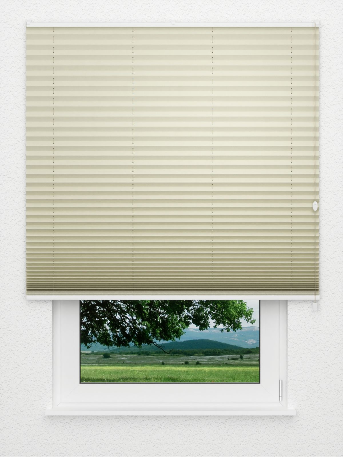 Detailansicht Plissé Kant 4211.5011