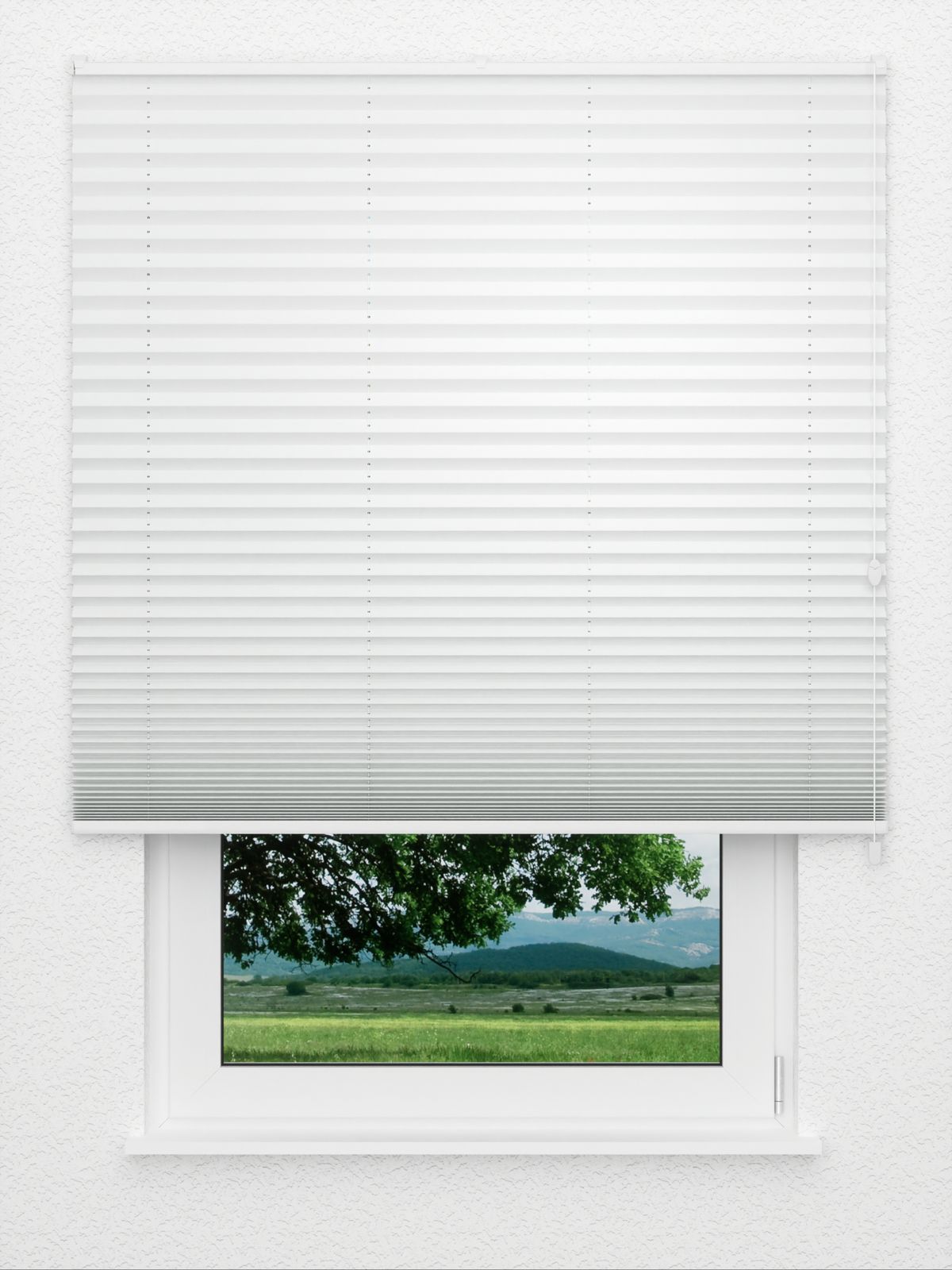 Detailansicht Plissé Kantate 4200.5014