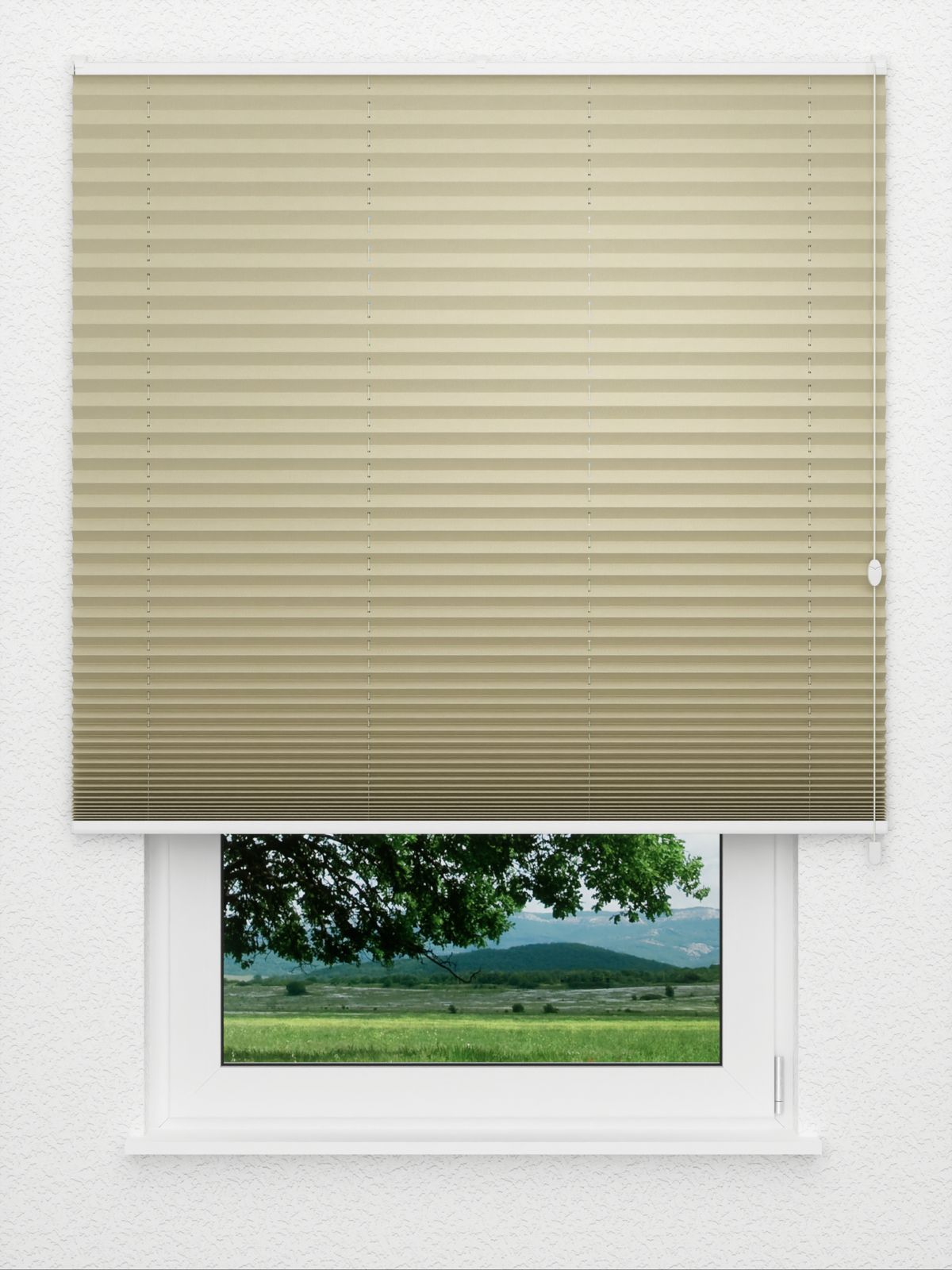 Detailansicht Plissé Kant 4210.5015