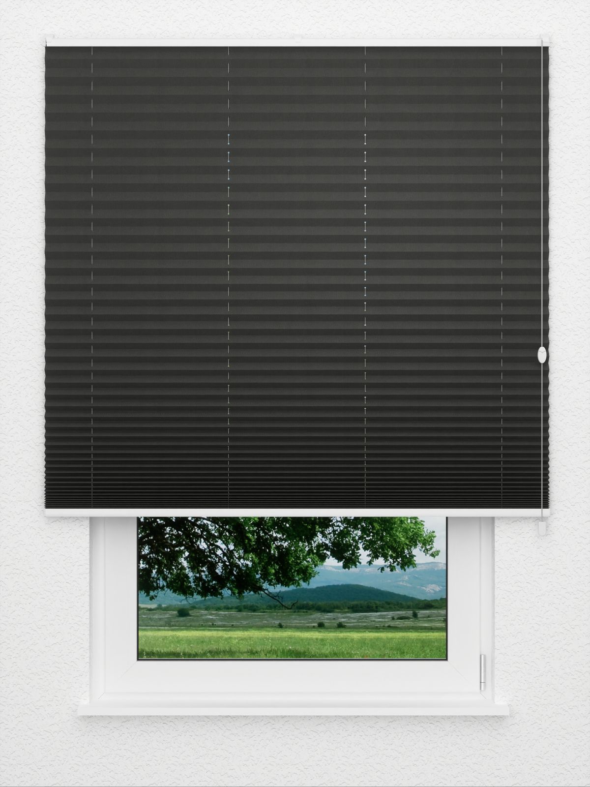Detailansicht Plissé Kantate 4280.5016