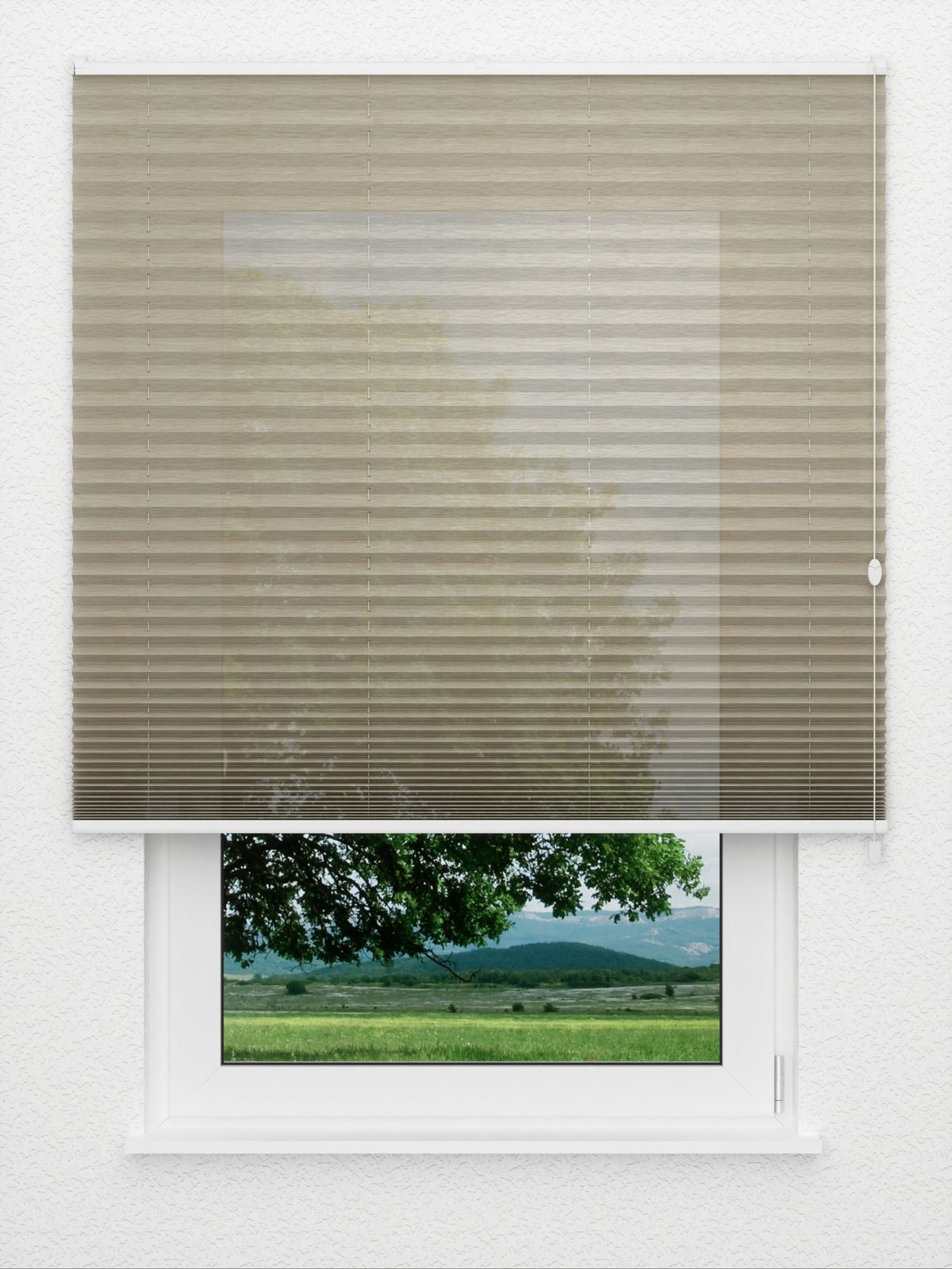 Detailansicht Plissé Sensibile 7902.6152