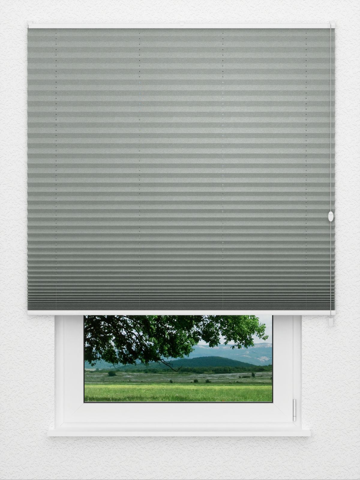 Detailansicht Plissé Office Great 8580.9302