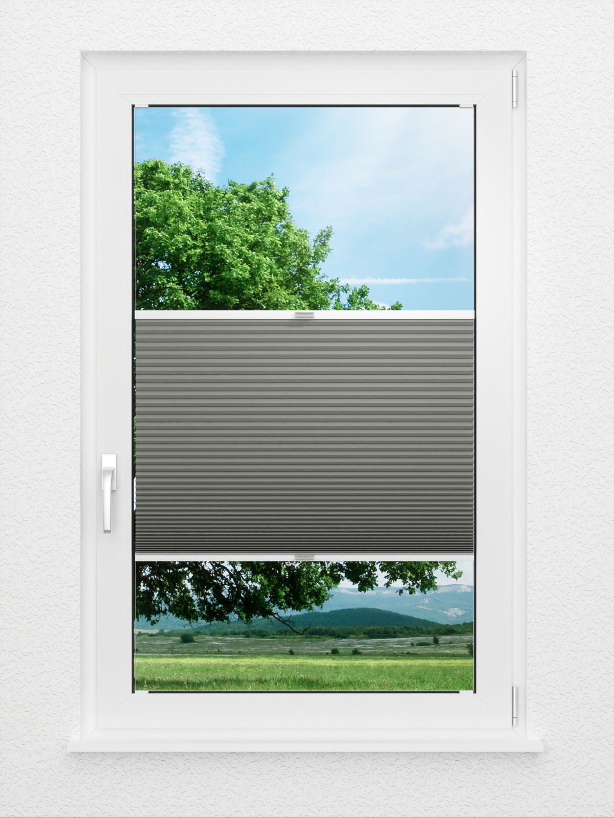 Detailansicht Straight Comb BO 9209.2621