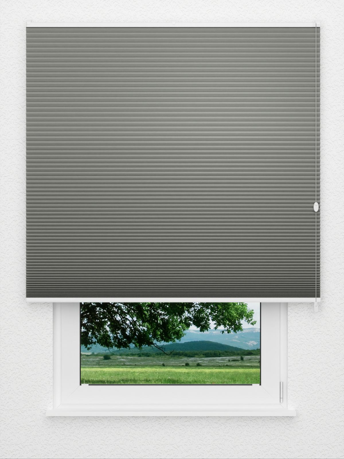 Detailansicht Straight Comb BO 9209.2621