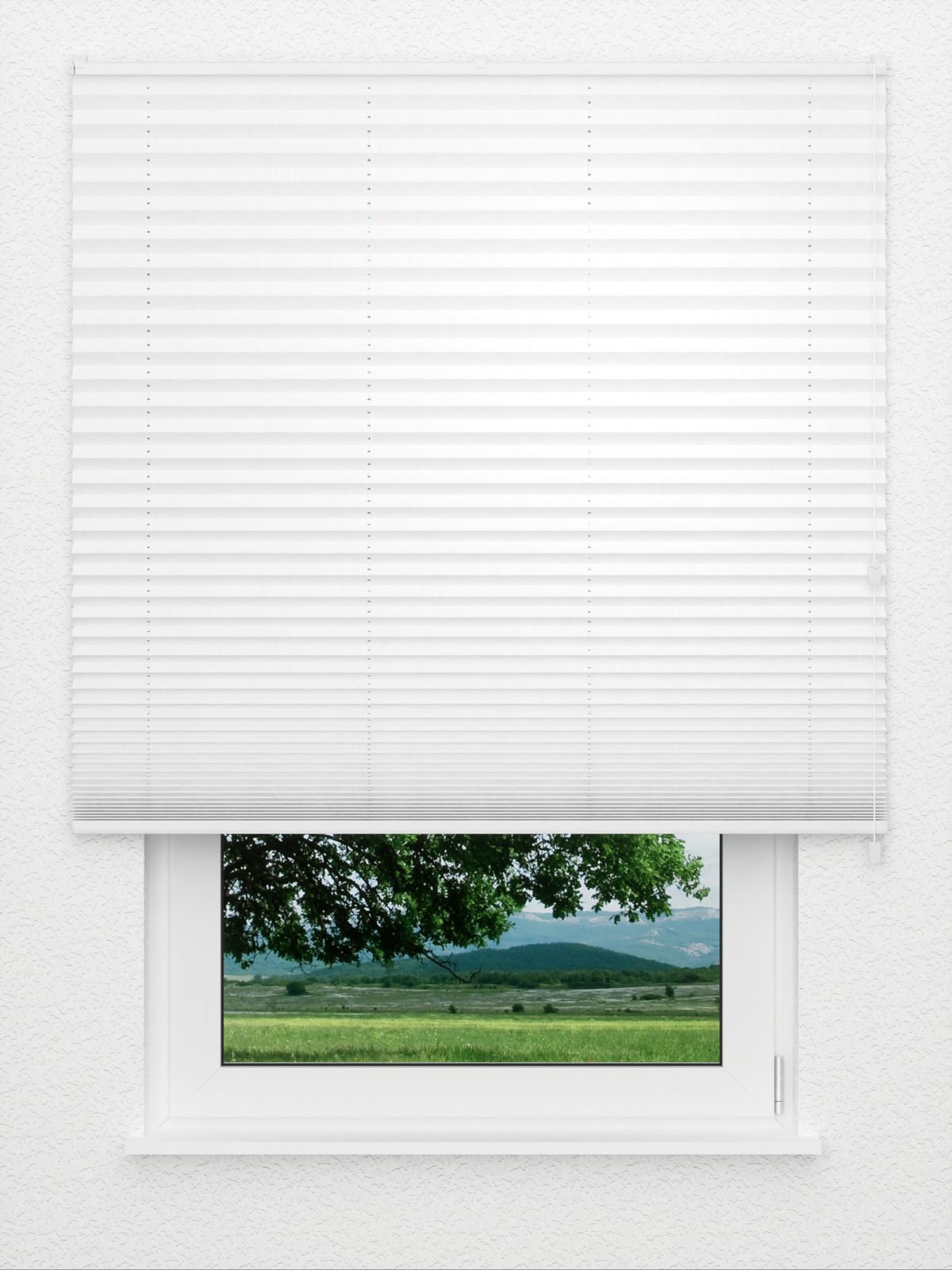 Detailansicht Plissé Risoluto 4400.3107