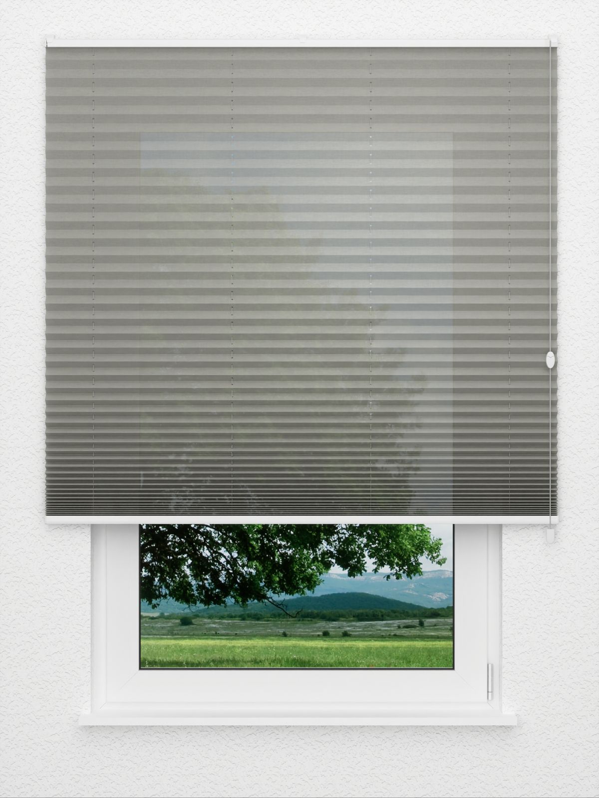 Detailansicht Plissé Fantasia 2880.3407