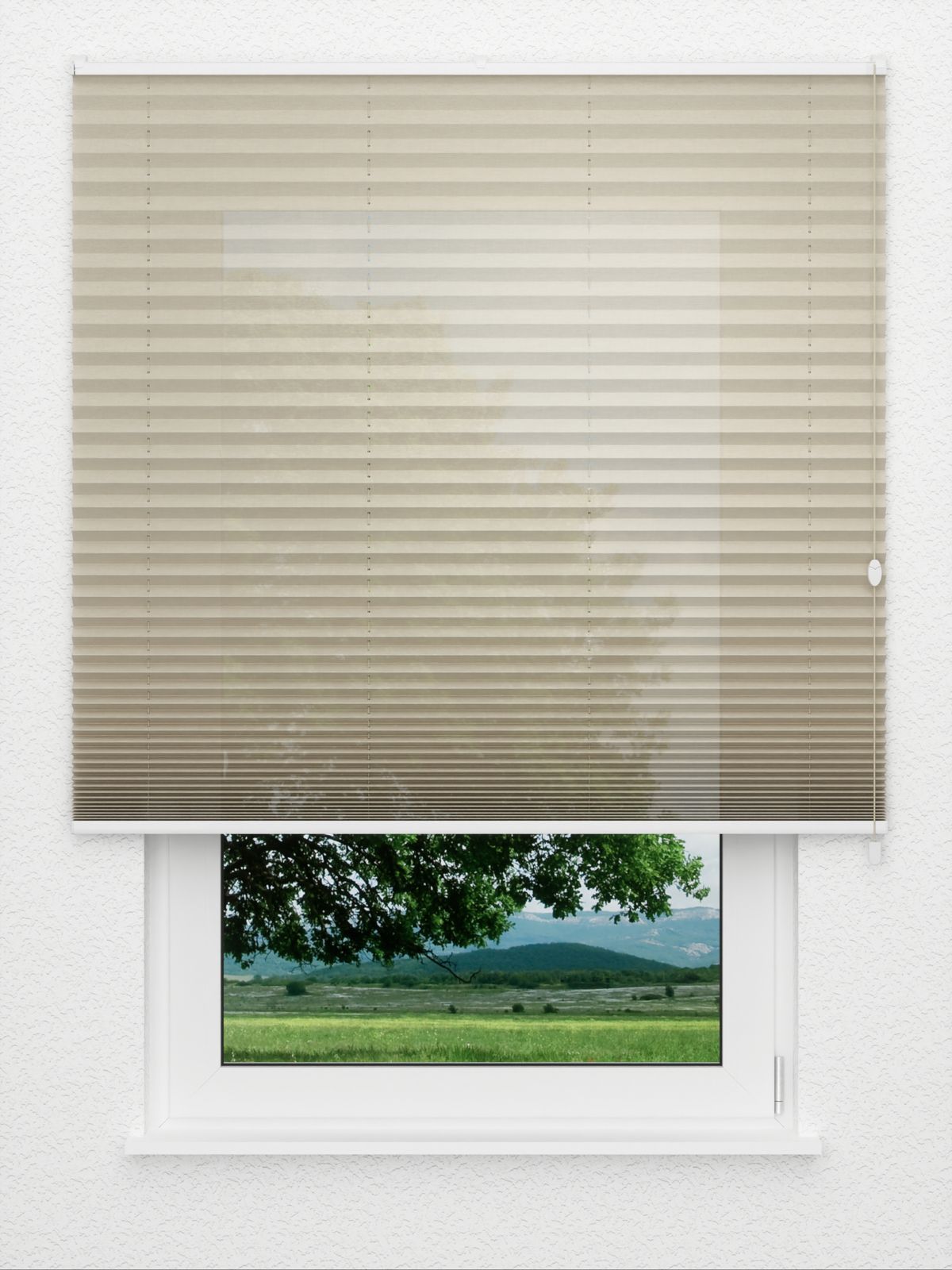 Detailansicht Plissé Fantasia 2811.3505