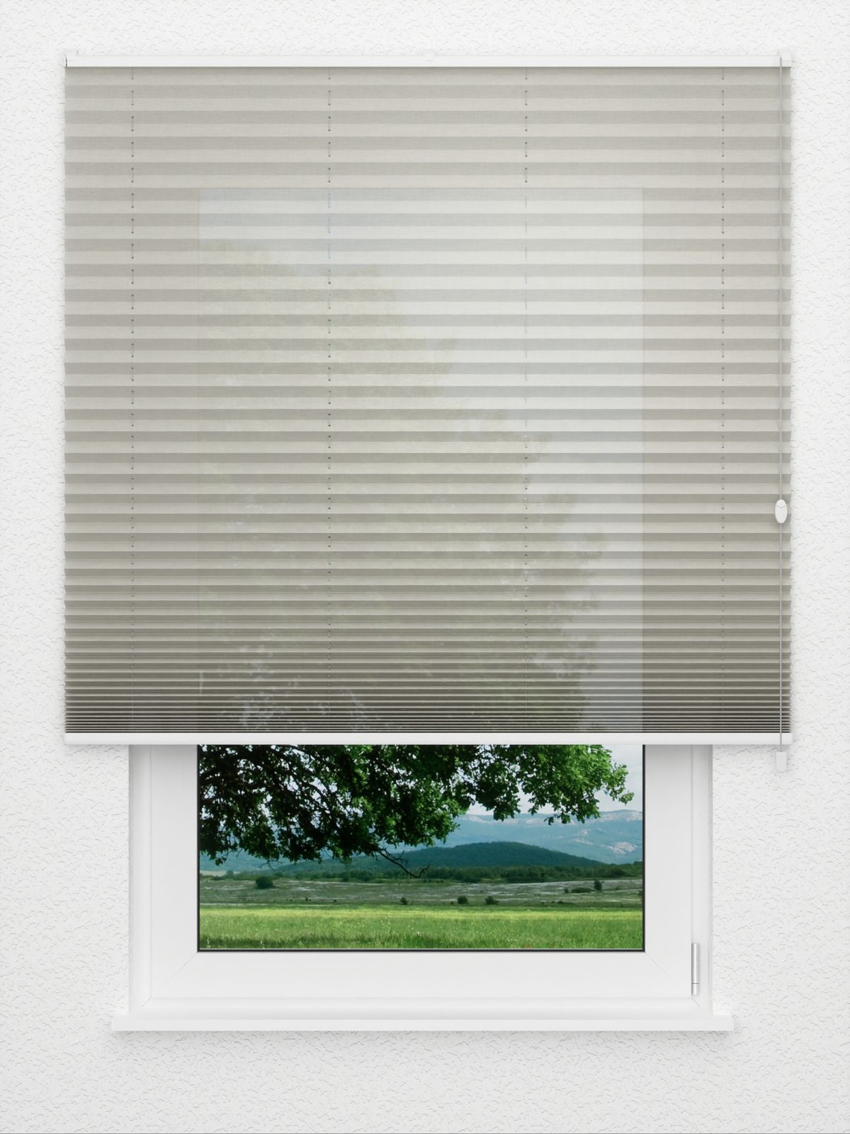 Detailansicht Plissé Fantasia 2881.3512