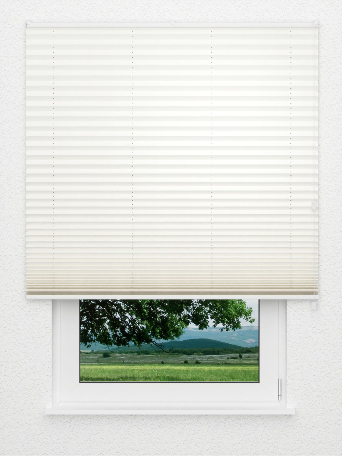 Detailansicht Plissé glad DO 8001.3369