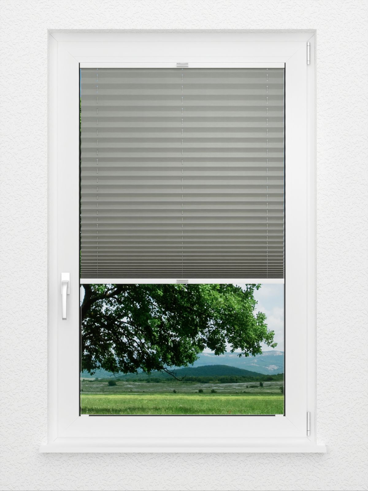 Detailansicht Plissé glad DO 8009.4157