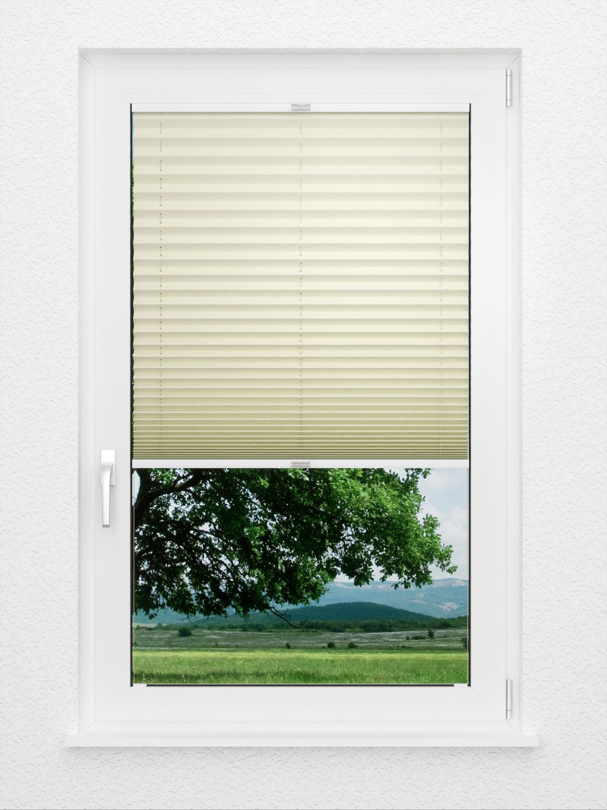 Detailansicht Plissé Classic Stripe 3210.9603