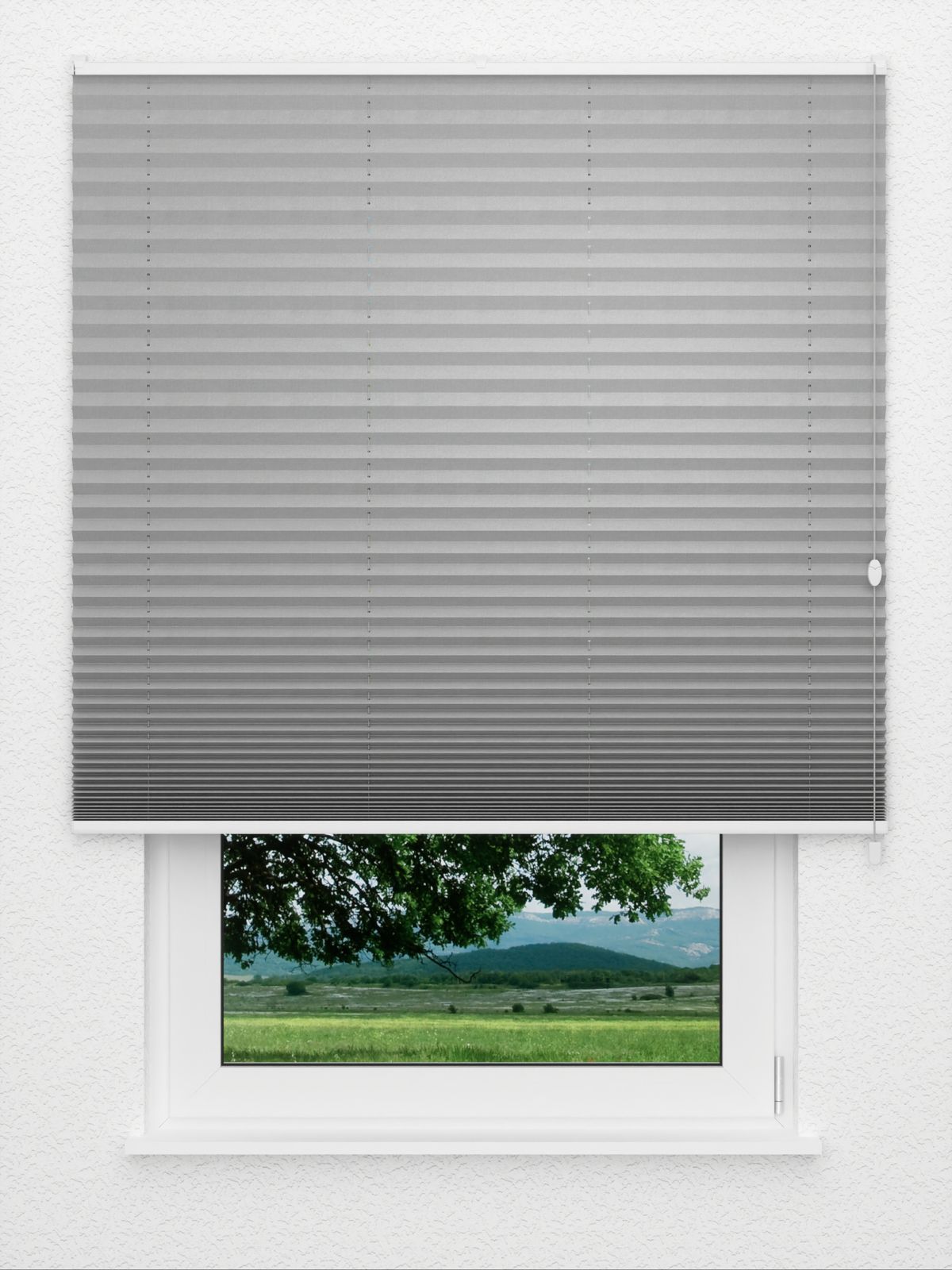 Detailansicht Plissé Dusky 4109.0311