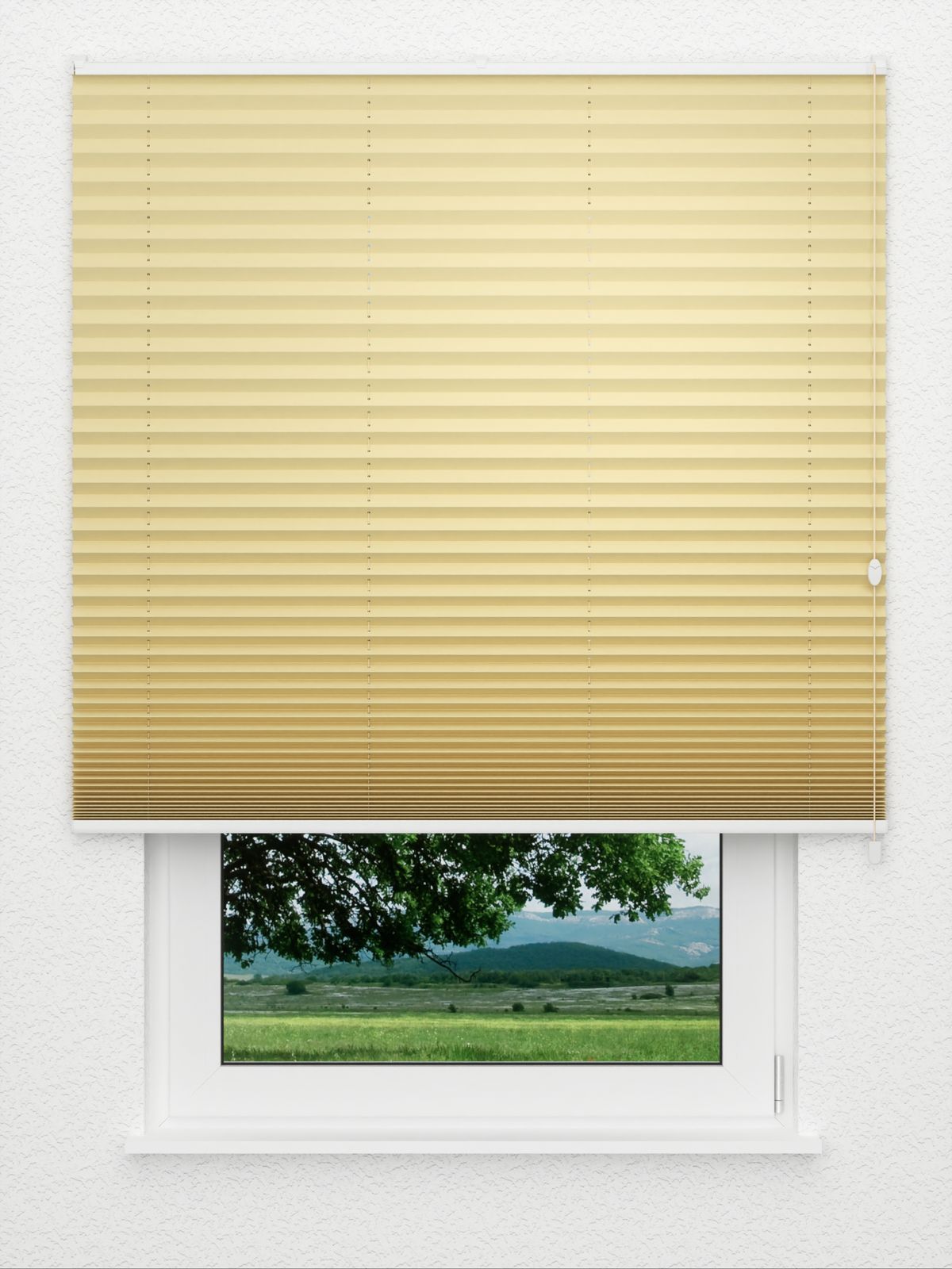 Detailansicht Plissé Dusky 4202.0312