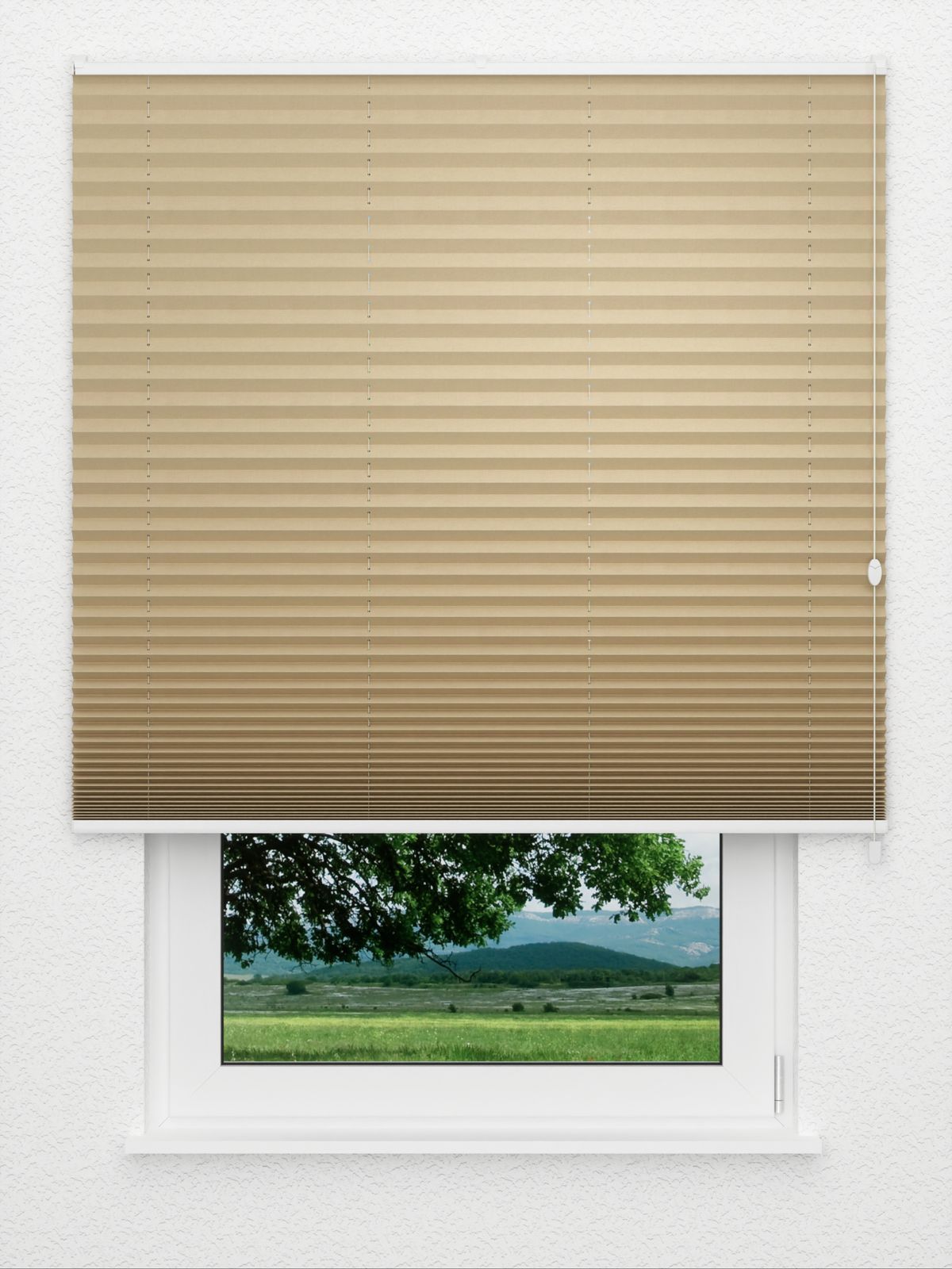 Detailansicht Plissé Dusky 4302.0313