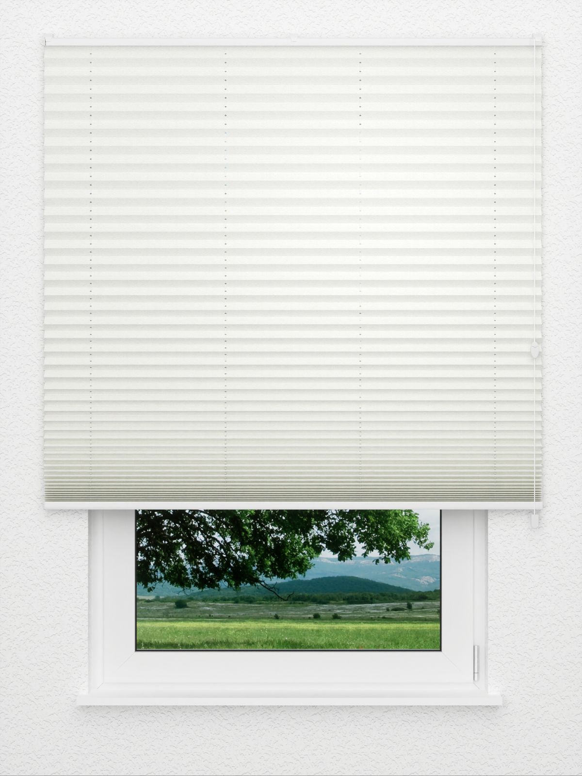 Detailansicht Plissé Crescendo 3800.3104