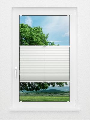 Preview Plissé Blackout BO 04.0103 1