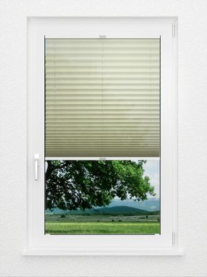 Preview Plissé All Over 6706.2007 2