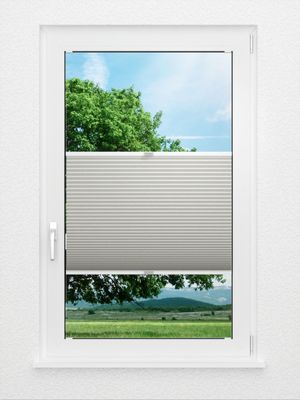 Preview Dubbele Plissé Shade Comb 8013.6254 1