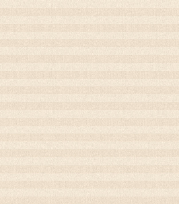 Detailansicht Plissé Crêpea Perlex 1602.1254