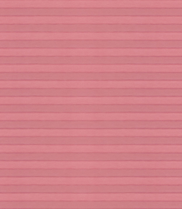 Detailansicht Plissé Leeg 5104.3280