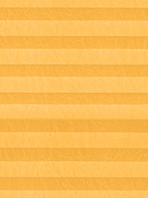 Preview Plissé Crush Perl 10.0502 4