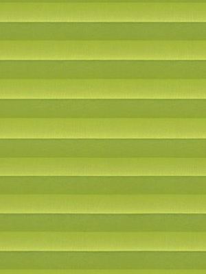 Preview Plissé Toccata B1 2150.5027 4