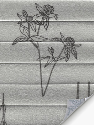 Preview Plissé Gray-Meadow 3409.8553 5
