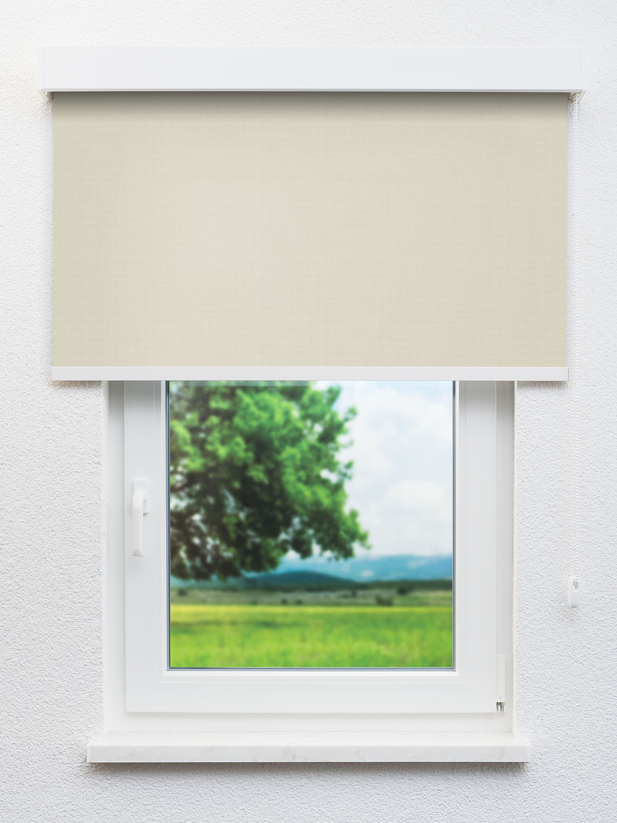 Detailansicht Braubach 91.603e