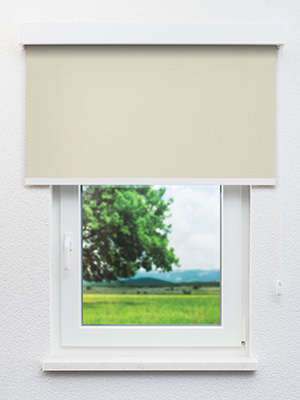 Preview Braubach 91.603e 2